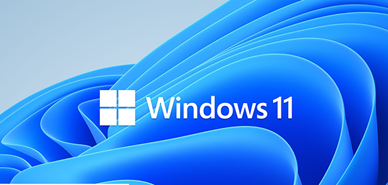 windows11系统安装汇总