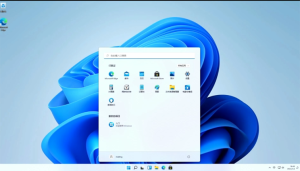 Windows11系统安装图文教程真机实操
