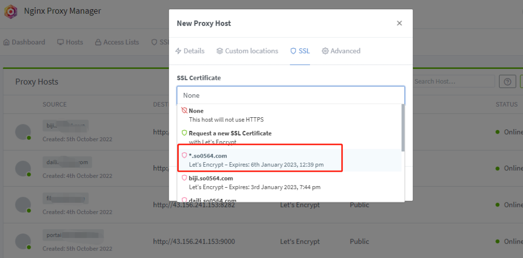 反向代理神器Nginx Proxy Manager通配符SSL配置