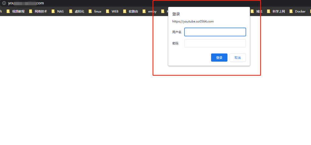 反向代理神器Nginx Proxy Manager通配符SSL及站点访问限制配置