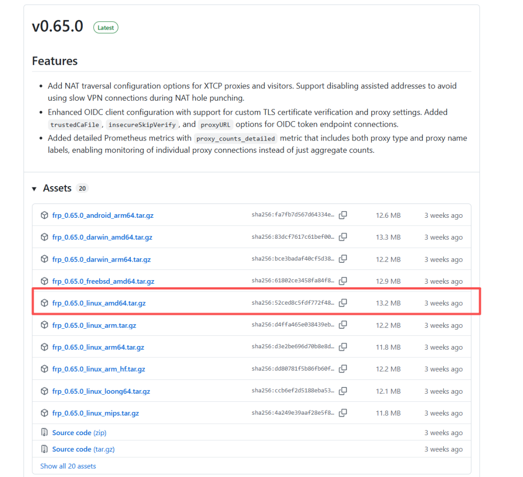 Ubuntu 24安装部署Frpc客户端